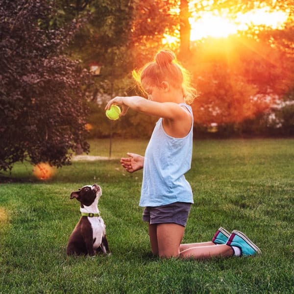 Little girl holding a tennis ball above her dog.