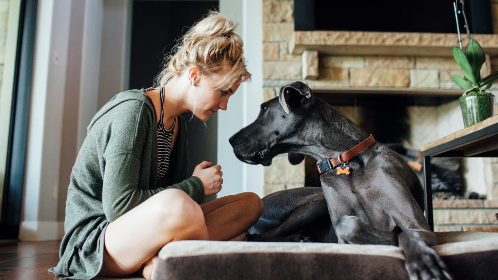 Woman looking at pet