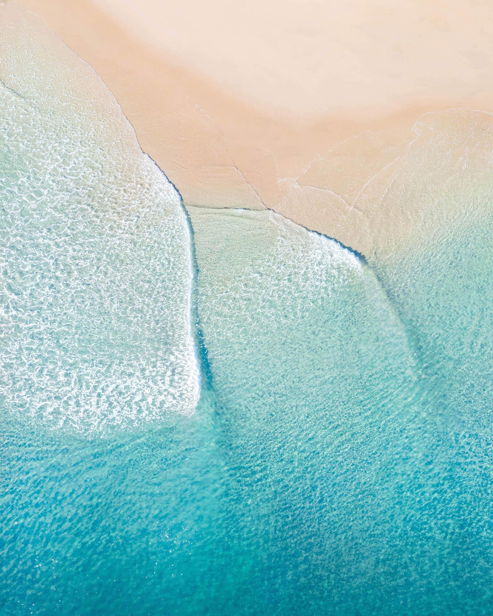 Advanced Disability Meeting splash