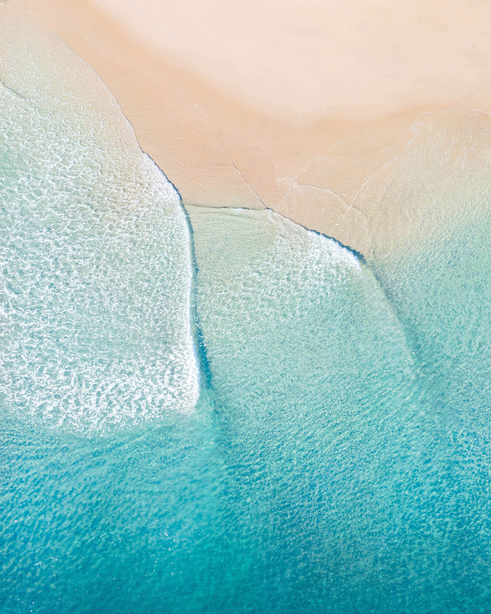 Advanced Disability Meeting splash